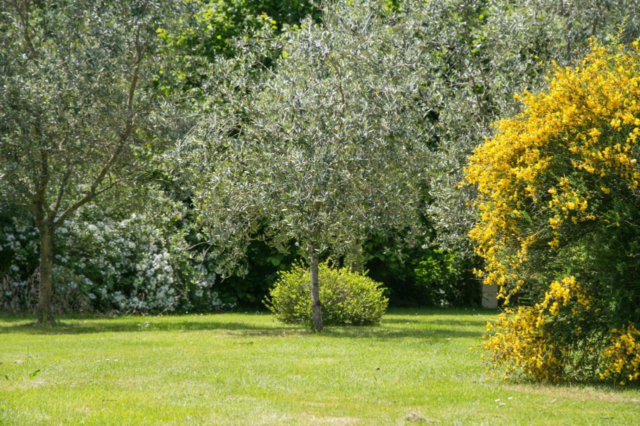 Les Dames De Nage Bed & Breakfast Grand-Champ Eksteriør bilde